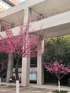 说明: 校园生活