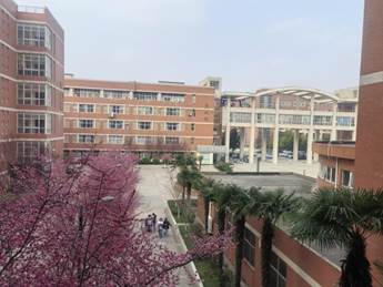 说明: IMG_256