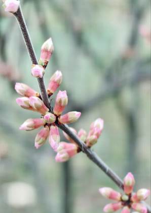 说明: IMG_256