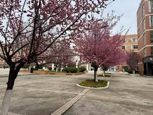 说明: d289f53649df221013410c77bc3e8e4d